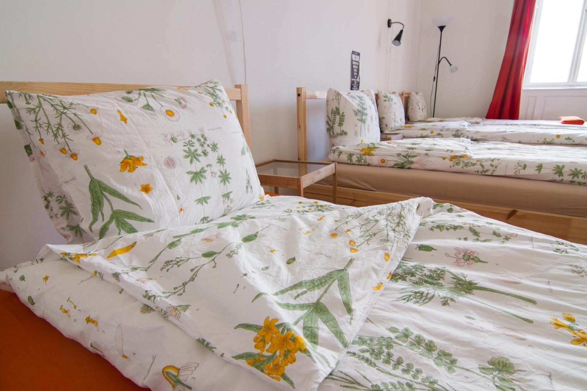 Pal'S Hostel And Apartments Βουδαπέστη Εξωτερικό φωτογραφία
